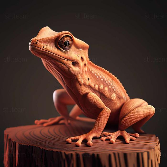 3D model Eleutherodactylus amplinympha (STL)